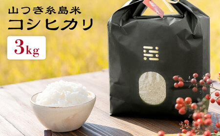 【お中元対象】糸島 で 農薬 を使わずに育てた 山つき 糸島米 3kg （ コシヒカリ ）《 糸島 》【株式会社やました】 [ARJ009]