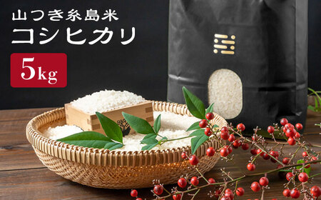 【お中元対象】糸島 で 農薬 を使わずに育てた 山つき 糸島米 5kg （ コシヒカリ ）《 糸島 》【株式会社やました】 [ARJ015]
