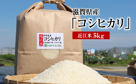 令和7年度産  近江米「コシヒカリ」 5kg　 AD-0060