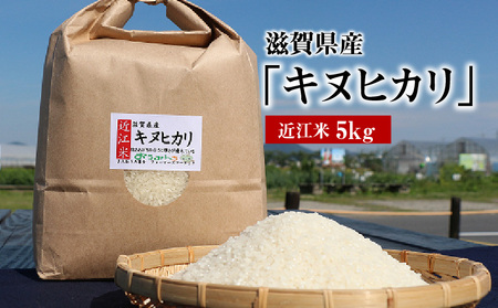 令和7年度産  近江米「キヌヒカリ」 5kg　 AD-0063