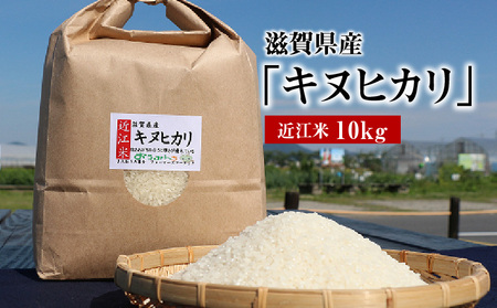 令和7年度産  近江米「キヌヒカリ」 10kg  AD-0064