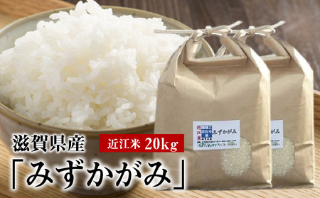 令和7年度産  近江米「みずかがみ」 20kg　 AD-0068