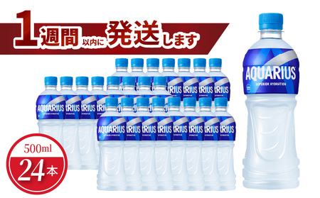 アクエリアス 500mlPET（24本入）コカ･コーラ スポーツ飲料 熱中症対策  コカ・コーラ BB-0001