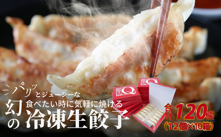 堀久餃子本舗冷凍生餃子10箱パック  幻の餃子 ぎょうざ ギョウザ 冷凍 生餃子 生ギョウザ バームクーヘン豚 藏尾ポーク BH-0006