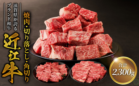 近江牛焼肉800ｇ・近江牛切り落とし300ｇ×3・角切り300ｇ×2  日本三大和牛 近江牛 焼肉 切り落とし 国産牛 霜降り 産地直送  ブランド和牛 近江牛 AK-0013