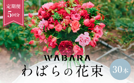 わばらの花束 30本定期便 ５回分 Rose Farm KEIJI  WABARA プレゼント 記念日  國枝啓司  AT-0020