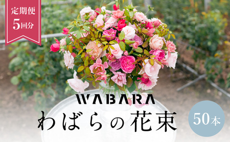 わばらの花束 50本定期便 ５回分 Rose Farm KEIJI　 WABARA プレゼント 記念日 誕生日 お祝い 人気  國枝啓司  AT-0013