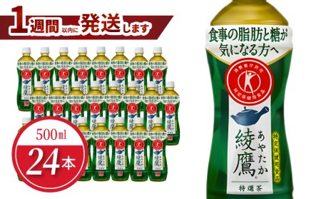綾鷹 特選茶 PET 500ml（24本入）脂肪を減らす 特保 機能性表示食品 無糖茶 人気 お茶 茶 飲料 ドリンク ソフトドリンク 水分補給 BB-0024