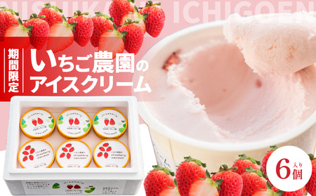 数量限定！いちご農園のアイスクリーム６個パック  完熟いちご アイス アイスクリーム 河西いちご園 完熟いちご  AM-0007