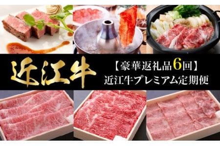 【豪華返礼品6回】近江牛プレミアム定期便  冷蔵 国産 黒毛和牛 霜降り 牛肉 牛 産地直送 ブランド牛 人気 お取り寄せ お取り寄せグルメ AJ-T004