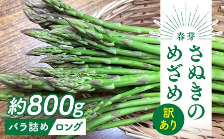 訳あり アスパラガス ロング 約800g 春芽 さぬきのめざめ 