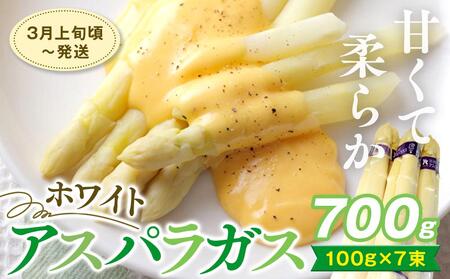 期間限定 【3月中旬頃～発送】ホワイトアスパラガス 700g | アスパラガス