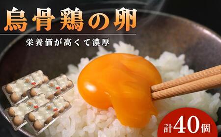 烏骨鶏卵 (烏骨鶏) 40個セット 卵