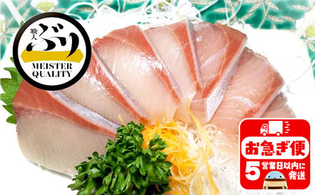 AQ-4701-202605／【鹿児島産ぶり】冷凍・ぶりフィレ（半身1枚）