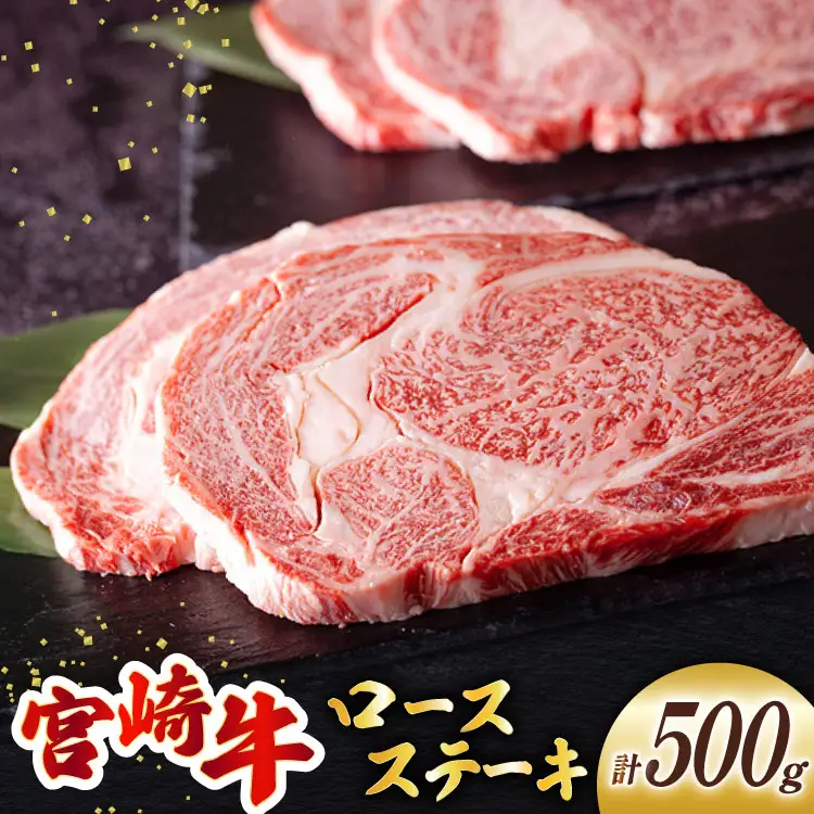 宮崎牛 ロース ステーキ 2枚 計500g [ミヤチク 宮崎県 美郷町 31au0093]
