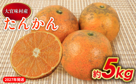 【2027年発送】大宜味村 たんかん 約5kg 沖縄 おきなわ 大宜味村 果物 くだもの 果実 タンカン オレンジ みかん 柑橘 フルーツ お取り寄せ 人気 ふるさと納税 送料無料 国産 県産 ご当地 やんばる 先行予約