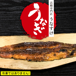 国産うなぎ蒲焼き (1匹)＋肝焼き [0848]