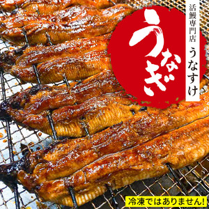 国産うなぎ蒲焼き (2匹) [0851]