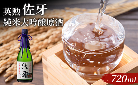 英勲 佐牙 純米大吟醸原酒 720ml 京田辺市産 祝 100%使用 精米歩合40% 日本酒 齊藤酒造 ふるさと納税限定 フルーティー 伏見 地酒 ギフト 贈答 贈り物 高級酒 贅沢 華やか 化粧箱 プレゼント お祝い 内祝い 父の日 母の日 敬老の日 記念日 京都府京田辺市