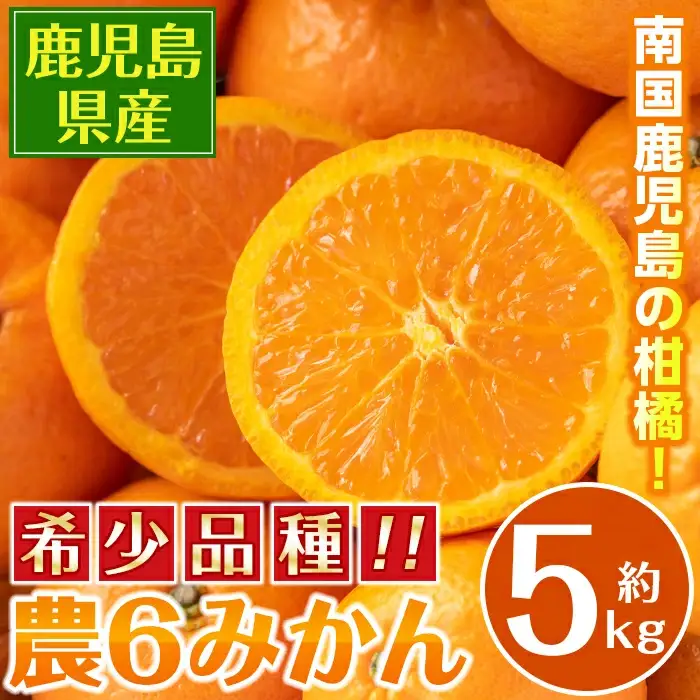 農6みかん 約5kg みかん 【江崎果樹園】 i585