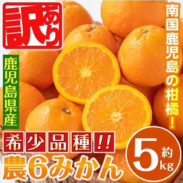 i586 ＜2026年3月下旬～6月中旬の間に発送予定＞《傷ありのため訳あり》農6みかん(約5kg) 果物 フルーツ 柑橘 国産 鹿児島県産 みかん 蜜柑 【江崎果樹園】