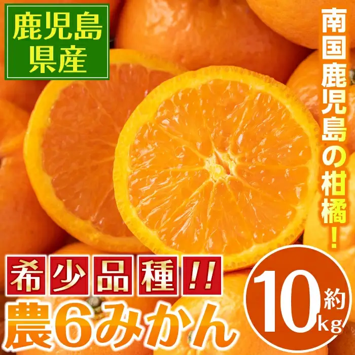 農6みかん 約10kg みかん 【江崎果樹園】 i593