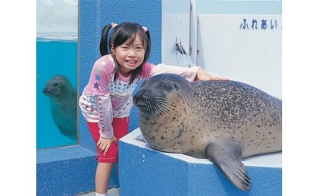 【数量限定】南知多ビーチランド飼育係一日体験◇