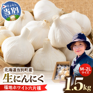 【令和8年先行受付】生にんにく（福地ホワイト六片種）1.5kg（15個～25個程度）