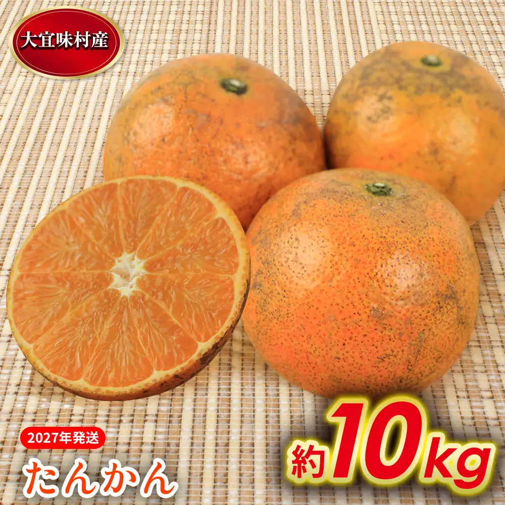 たんかん【2027年発送】大宜味村 たんかん 約10kg 沖縄