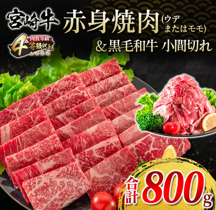 宮崎牛 赤身 焼肉 黒毛和牛 小間切れ セット 合計800g 牛肉 ビーフ 国産 うで もも ブランド牛 人気 おすすめ 万能食材 食品 お取り寄せ グルメ 詰め合わせ 贅沢 ご褒美 お祝い 記念日 おかず 弁当 おつまみ BBQ 鉄板焼き おすそ分け 宮崎県 日南市 送料無料_DA20-23