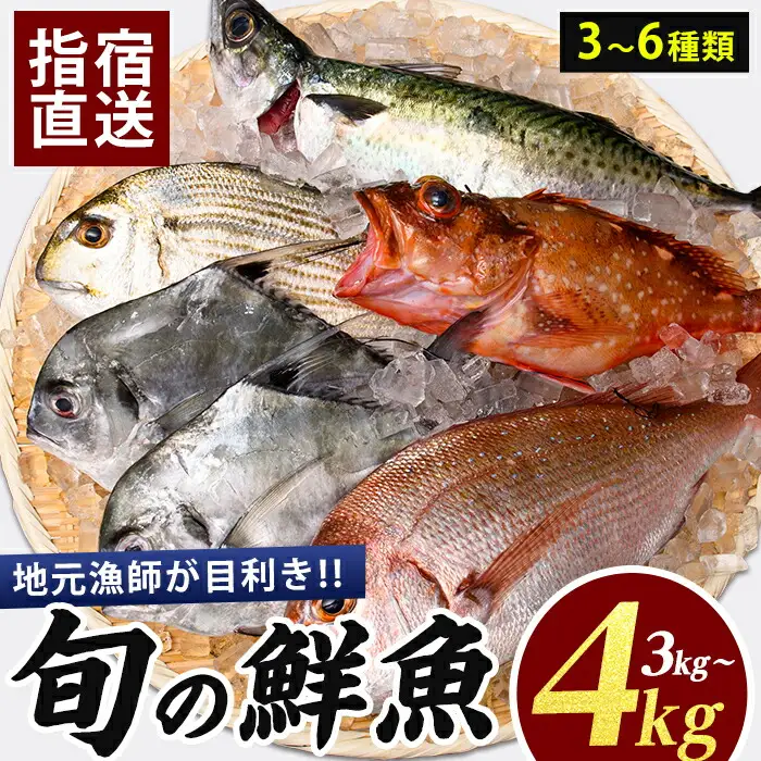 新鮮な魚をお届け 指宿産直便 漁師が選ぶ季節の鮮魚便  3～4kg 指宿山川水産 IB035-022 鮮魚 魚 セット 新鮮 旬