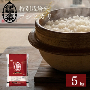コシヒカリ 精米 5kg 特別栽培米 伊彌彦米 | コシヒカリ 新潟県 令和7年産
