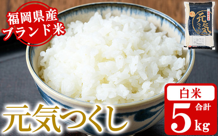 《白米》福岡県産ブランド米「元気つくし」(5kg) 白米 米 お米 おこめ ごはん げんきつくし ご飯 常温 福岡県産 ブランド米 常温 常温保存 おにぎり おむすび お弁当 ライス【朝ごはん本舗】as05-054