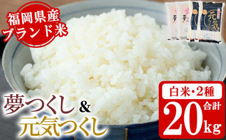 《白米》福岡県産米食べ比べセット「夢つくし」と「元気つくし」(2種計20kg・各5kg×2袋) 白米 米 お米 おこめ ごはん ご飯 常温 福岡県産 ブランド米 ゆめつくし げんきつくし 常温 常温保存 おにぎり おむすび お弁当 ライス【朝ごはん本舗】as05-060
