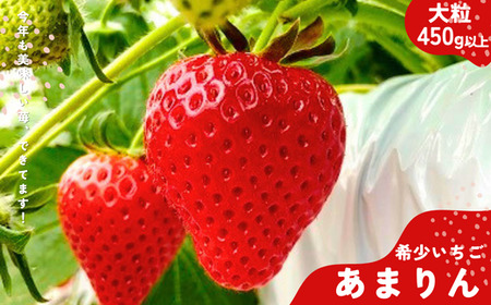 埼玉生まれの希少いちご『あまりん　大粒』（450ｇ以上）【潰れが気にならない方限定】　いちご あまりん いちご