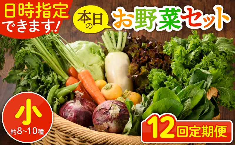 【12回定期便】日時指定OK！本日のお野菜セット （小サイズ/約8～10種） / 野菜 有機栽培 産地直送 新鮮 旬 詰め合わせ きのこ類 やさい 送料無料 【オーガニックのまち 宮崎県綾町】_A0053-004