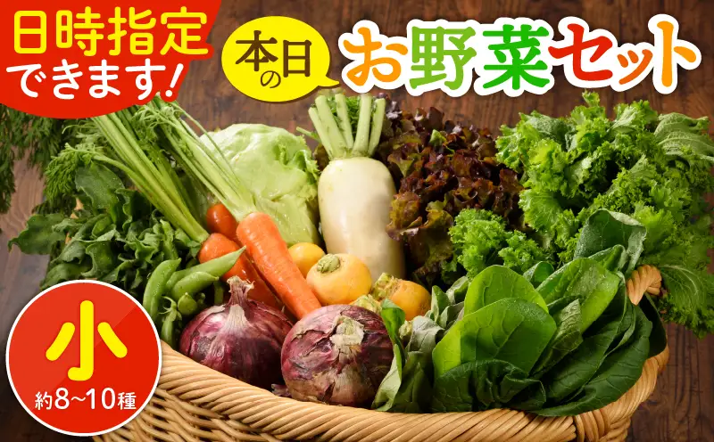 【日時指定OK】本日のお野菜セット （小サイズ/約8～10種） / 野菜 有機栽培 産地直送 新鮮 旬 詰め合わせ 宮崎県綾町_A0053-001