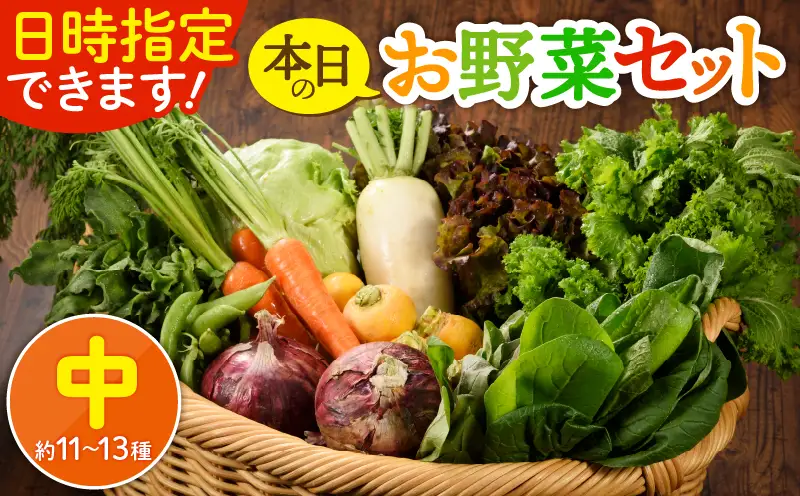 日時指定OK！本日のお野菜セット （中サイズ/約11～13種） /  野菜 有機栽培 産地直送 新鮮 旬 詰め合わせ 宮崎県綾町_A0053-005