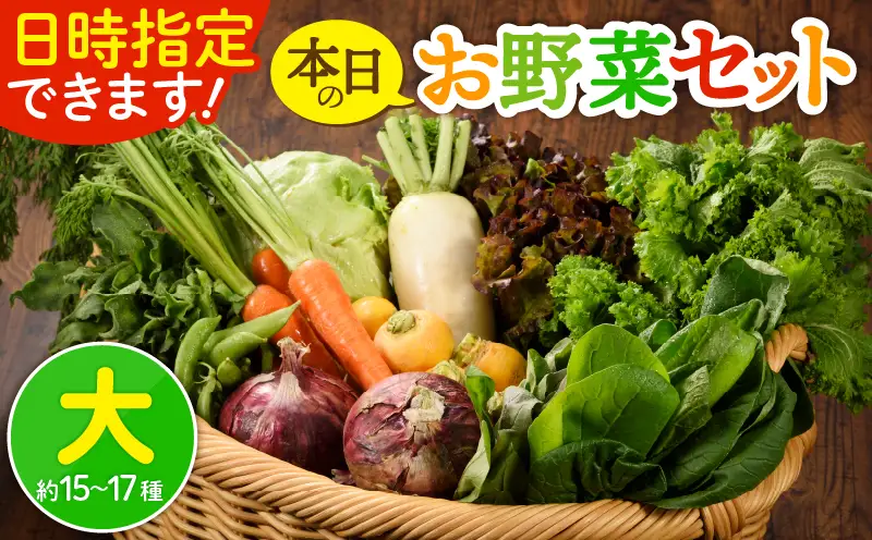 日時指定OK！本日のお野菜セット （大サイズ/約15～17種） 4人以上用 / 野菜 朝どれ 有機栽培 産地直送 新鮮 旬 詰め合わせ サラダ 果物 きのこ類 やさい 送料無料 【オーガニックのまち 宮崎県綾町】_A0053-009