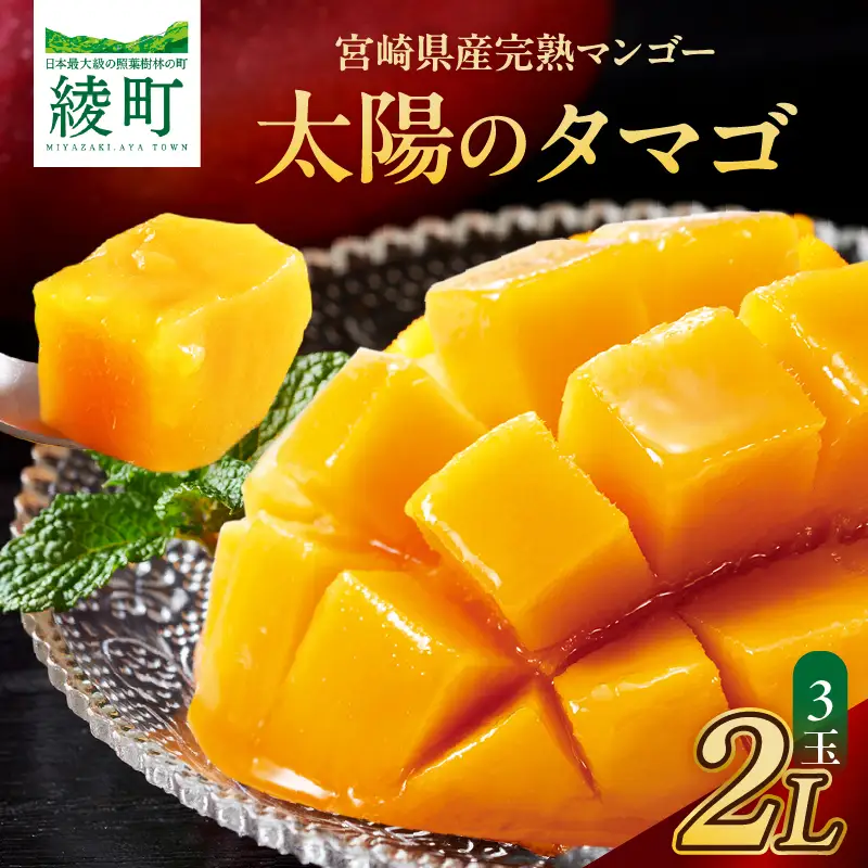 【数量限定】完熟マンゴー『太陽のタマゴ』３玉（約１kg）/ 先行予約 太陽のたまご マンゴー【JA綾町】_A0114-1011
