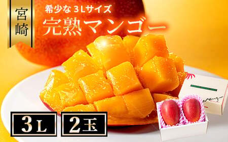 【先行予約/数量限定】完熟マンゴー ３L×２玉（化粧箱）【宮崎県産 高級 果物 フルーツ 濃厚 ギフト のし 熨斗 贈答 完熟マンゴー マンゴー 送料無料】【JA綾町】_A0114-235