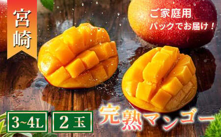 【先行予約/数量限定】完熟マンゴー ３L～４L×２玉（パック）宮崎県産 濃厚 高級 果物 フルーツ 贈答 ギフト 完熟マンゴー マンゴー  【JA綾町】_A0114-2301