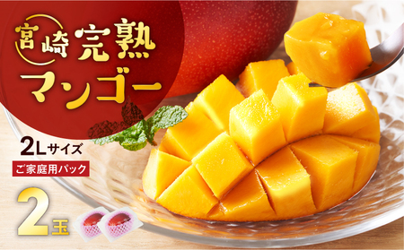 【先行予約/数量限定】完熟マンゴー ２L×２玉（パック）/ 宮崎県産 マンゴー【JA綾町】_A0114-1021