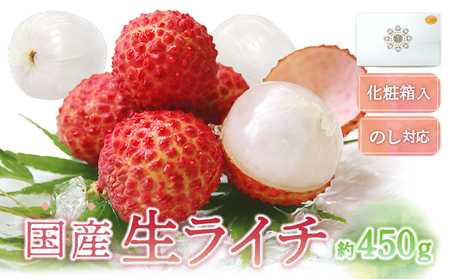 【先行予約】希少 綾生ライチ（化粧箱入り） / 宮崎県産 ライチ 国産【JA綾町】_A0114-1041