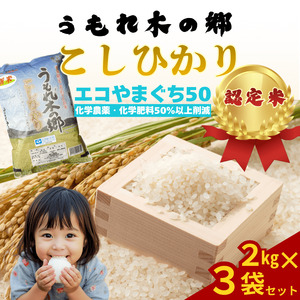 令和7年産 阿武町 「 うもれ木の郷 」 こしひかり 2kg×3袋 【 エコやまぐち認証 】 