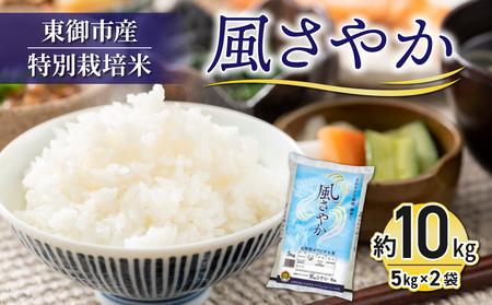 【R7年産新米】東御市産の特別栽培米「風さやか」約10kg｜国産 長野県産 お米 こめ 白米10kg白米白米白米白米白米白米白米