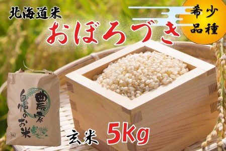 令和7年度産 北海道米 おぼろづき 玄米 5kg 北海道 新ひだか町