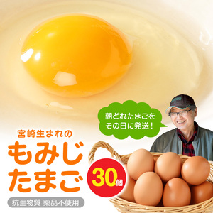 延岡産もみじ玉子30個 N033-YA0140