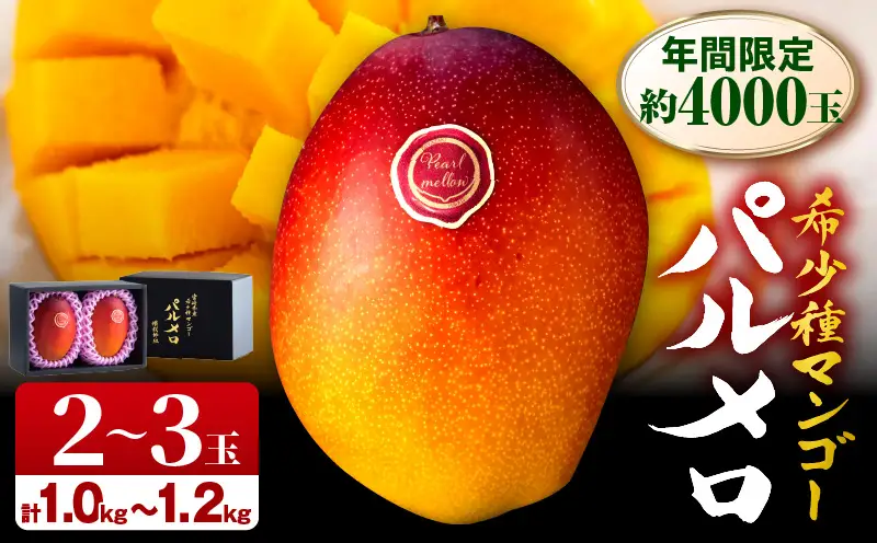 《2026年発送》【期間・数量限定】宮崎県産 希少種マンゴー パルメロ 計 約1.0kg～1.2kg 2～3玉入り 完熟マンゴー パルメロ 果物