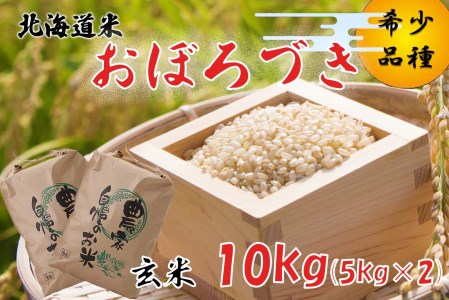 令和7年度産 北海道米 おぼろづき 玄米 10kg (5kg×2) 北海道 新ひだか町